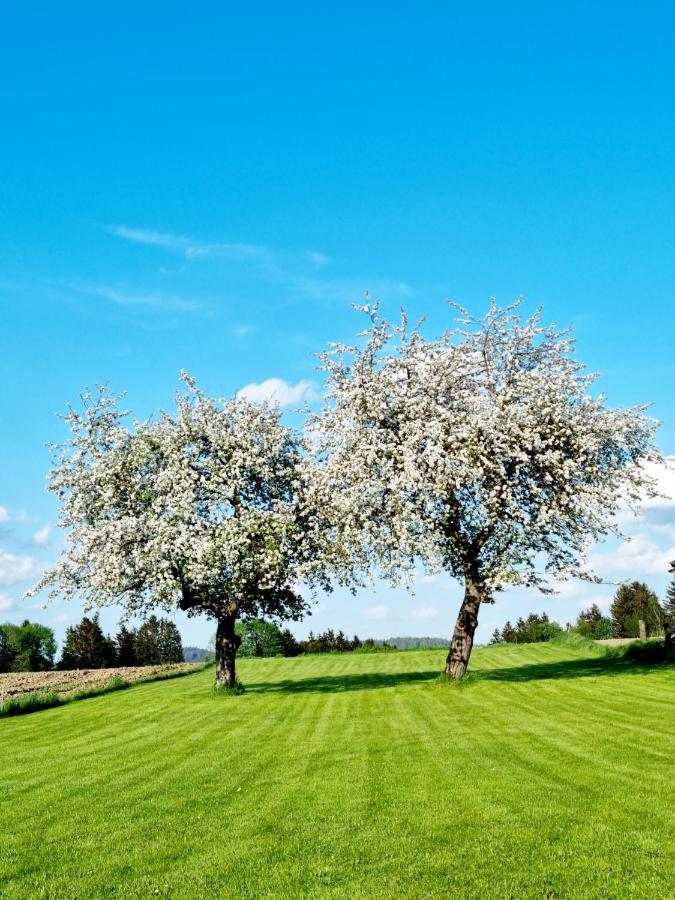 Ferienhaus Ritzmais Bischofsmais Luaran gambar